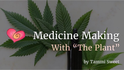 Product image for Medicine Making With "The Plant"