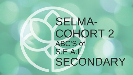 Product image for Cohort 2 - SELMA SECONDARY 1-6 Strengthening SEAL to Boost ABC's