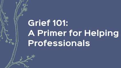 Product image for Grief 101: A Primer for Helping Professionals