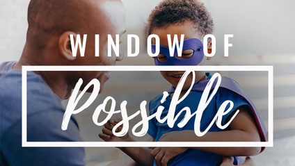 Product image for Window of Possible - Windows to the Father's Heart Series