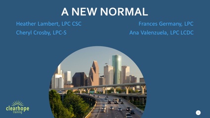 Product image for A New Normal