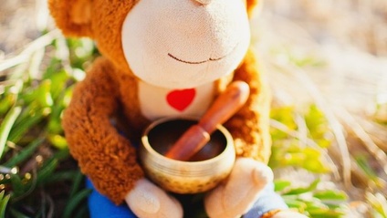 Product image for Mindful Monkey "Stop Your Worries" Online Program