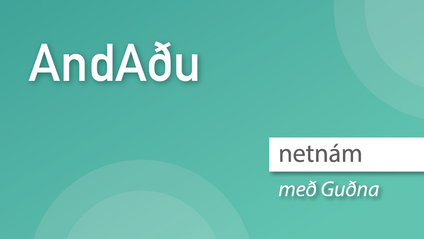 Product image for AndAðu með Guðna - NETNÁM