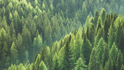 Product image for Module 5 : Closing the Environmental Loop