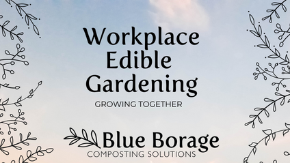Product image for Workplace Edible Gardening