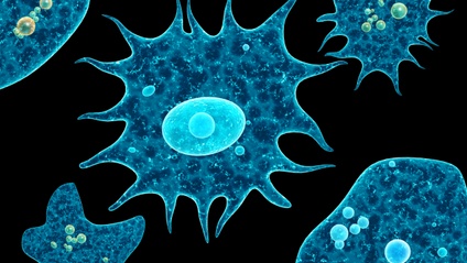 Product image for Using Probiotics and Prebiotics to Enhance Immunity