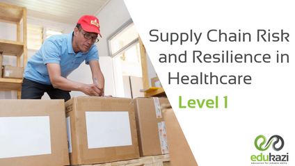 Product image for Supply Chain Risk and Resilience in Healthcare Level 1