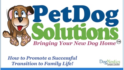 Product image for Pet Dog Solutions - Bringing Your New Dog Home