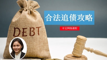 Product image for (中文) 合法追债攻略 by Gun Huei Shin (Advocate & Solicitor of the High Court of Malaya)