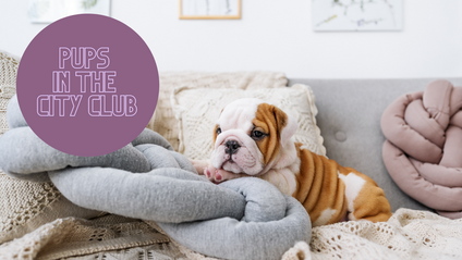 Product image for Pups in the City