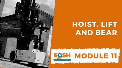 Product image for Hoist, Lift and Bear