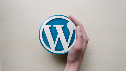 Product image for WordPress Mastery