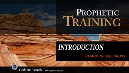 Product image for Prophetic Training