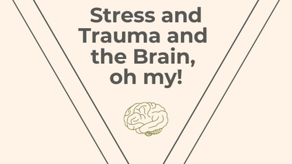 Product image for Stress and Trauma and Behaviors, Oh my!