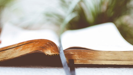 Product image for Biblical Studies