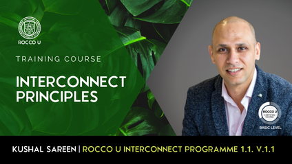 Product image for I.1.1 INTERCONNECT PRINCIPLES