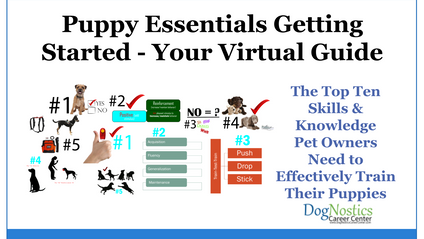 Product image for Puppy Essentials  Getting Started - Your Precursor to Level 1 & Level 2. A Virtual or In-Person Guide To the Top 5 Knowledge Components & Top 5 Skills Needed By Pet Owners To Effectively Train Their Puppy