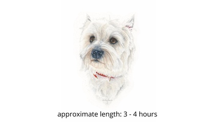 Product image for White Westie Dog in Watercolor