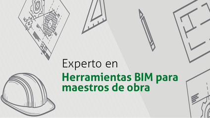 Product image for Experto en Herramientas BIM para Maestros de Obra