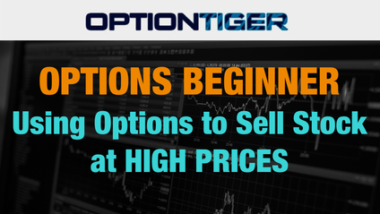 Product image for Use Options to Sell Stock at High Prices
