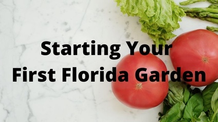 Product image for Starting Your First Florida Garden