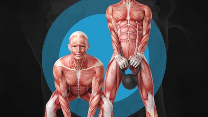 Product image for MUSCLES & MOVEMENT