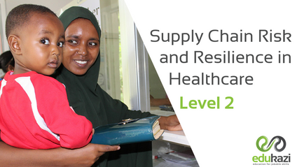 Product image for Supply Chain Risk and Resilience in Healthcare Level 2
