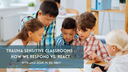 Product image for Trauma Sensitive Classrooms