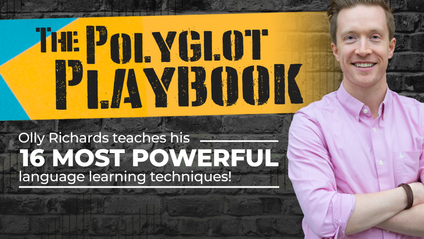 Product image for The Polyglot Playbook