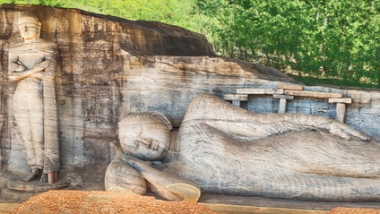 Product image for Mindfulness and the Mahayana: An In-Depth Exploration of the Mahasatipatthana Sutta | Archive