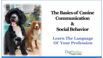 Product image for The Basics of Canine Communication and Social Behavior