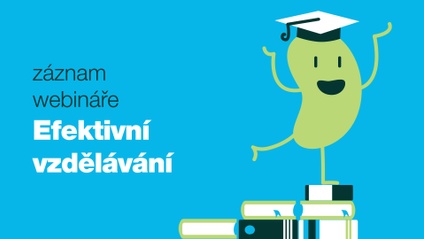 Product image for EFEKTIVNÍ VZDĚLÁVÁNÍ: Jak proměnit informace v dlouhodobé vědomosti?