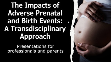 Product image for The Impacts of Adverse Prenatal and Birth Events: A Transdisciplinary Approach