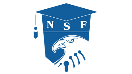 Product image for National Security Fellowship