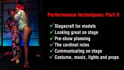 Product image for Performance techniques: Part II