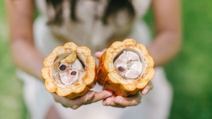 Product image for The Heart of Cacao Ceremony