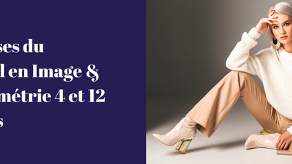 Product image for Les bases du Conseil en Image & Colorimétrie 4 et 12 saisons