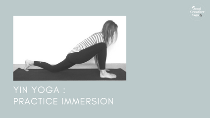 Product image for Yin Yoga Practice Immersion