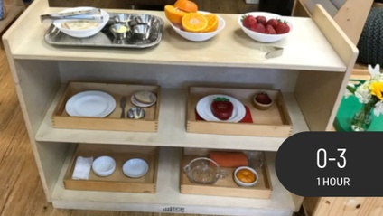 Product image for Practical Life in the Toddler Environment