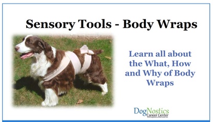 Product image for Sensory Tools - Body Wraps