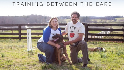 Product image for Level 1: Resolving Conflict in Human/Canine Relationships