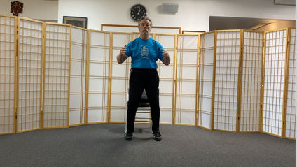Product image for Absorbing Qi exercise from Dr Xie Pei Qi