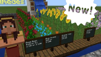 Product image for Minecraft: Decimal Fraction Garden