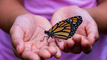 Product image for Inner Child Healing Course