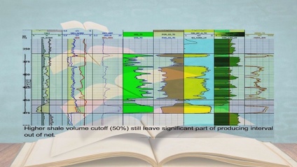 Product image for Advanced Log Interpretation in Field Development<em>New</em>