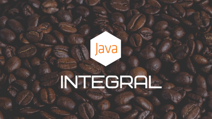 Product image for Java intégral