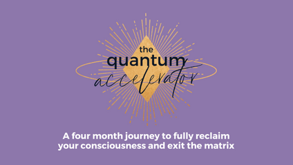 Product image for The Quantum Accelerator