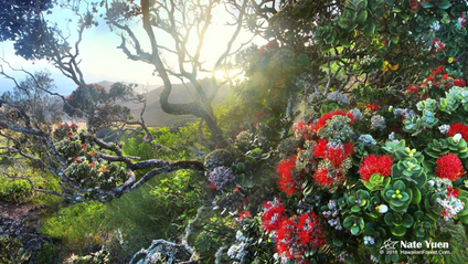 Product image for Hawai'i Island Edition of Conserving Hawaii's Natural Resources: Best Practices for Tour Operators