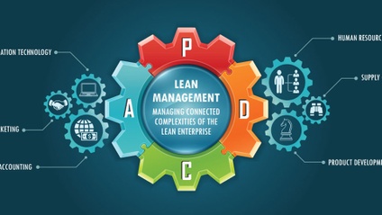Product image for Lean Management System