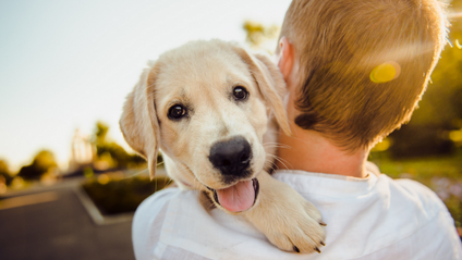 Product image for Puppy Essentials: Socialization Foundations Workshop
